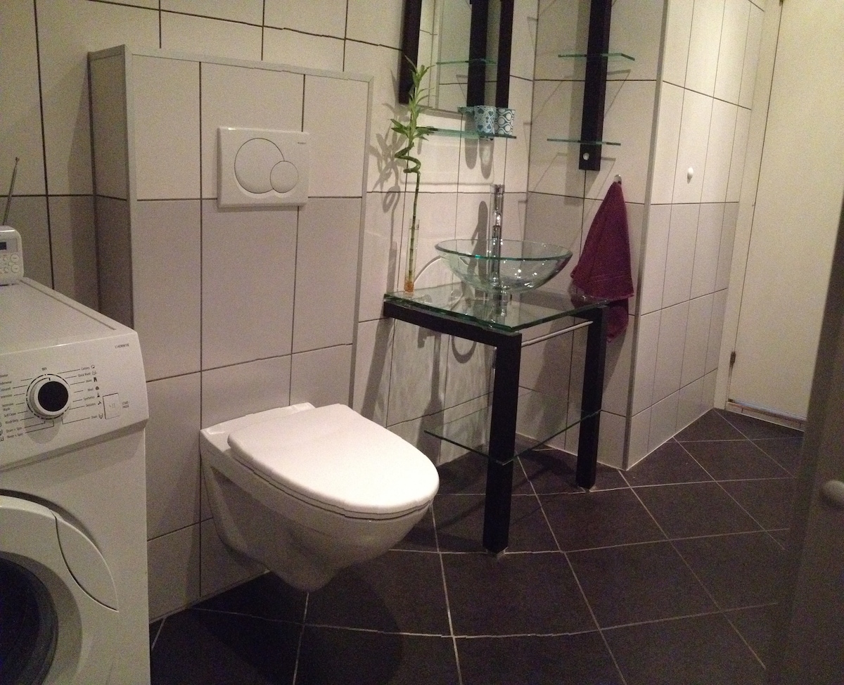 Moderne & flott leilighet i sentrum apartments for rent in bergen