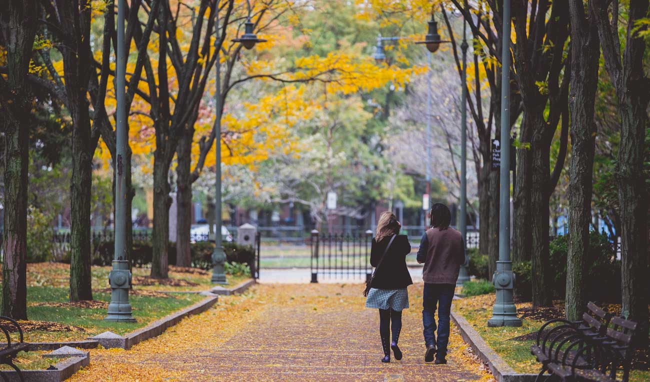 Airbnb Neighborhoods | airbnb neighborhoods your local travel guide Airbnb Neighborhoods | airbnb neighborhoods your local travel guide