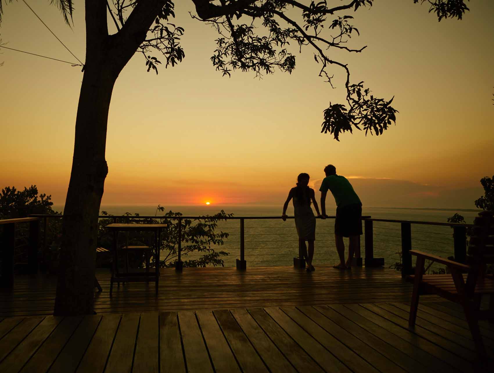 Trees & zzzs”, a wish list by airbnb airbnb