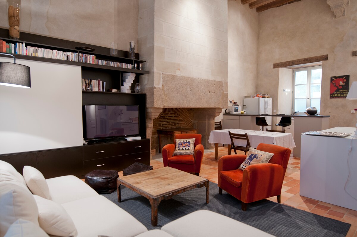 Grand appartement coeur de Nantes