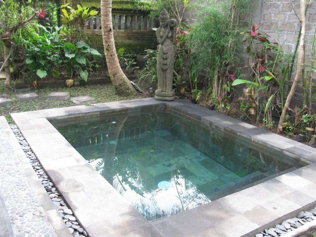 Private refreshing salt water plunge pool.