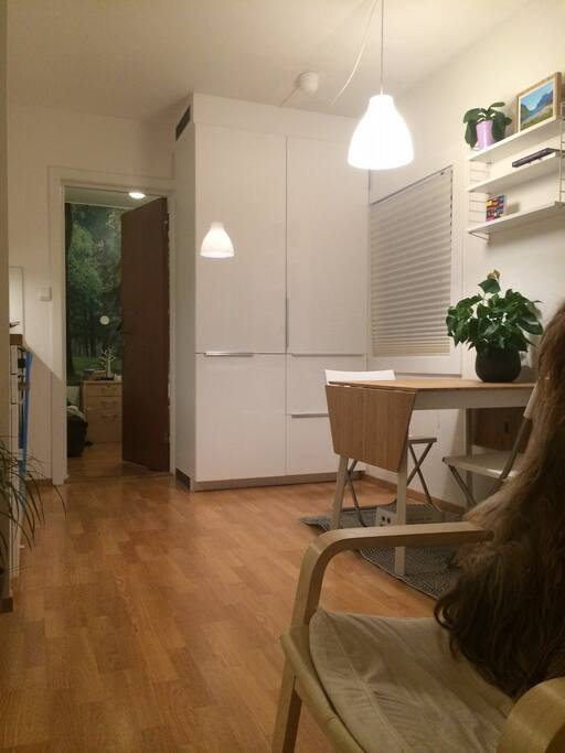 Kajsa kristensen apartments for rent in oslo