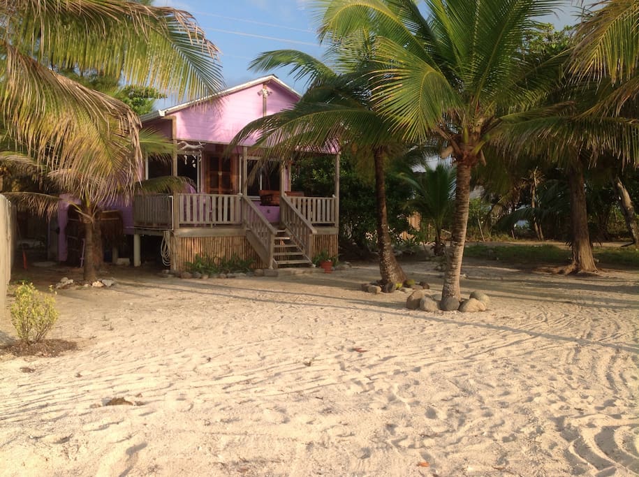 Purple Jawfish Beach House Houses for Rent in Utila
