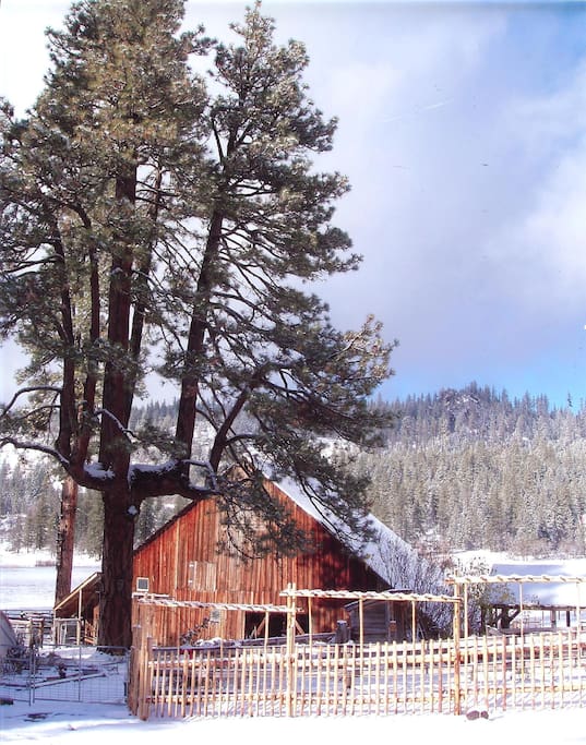 Farmhouse Studio WillowWitt Ranch Apartments for Rent in Ashland