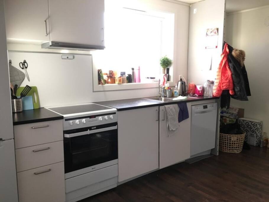 Cheap accommodation 5 min from ntnu condominiums for rent in ...