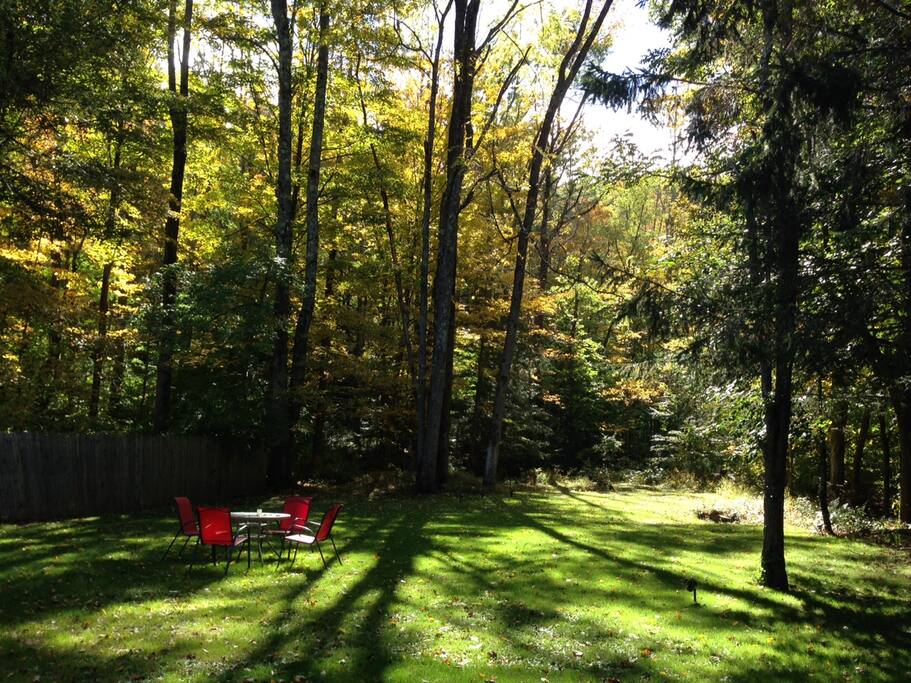 Summer Special! escape and rejuvenate! Houses for Rent in Phoenicia