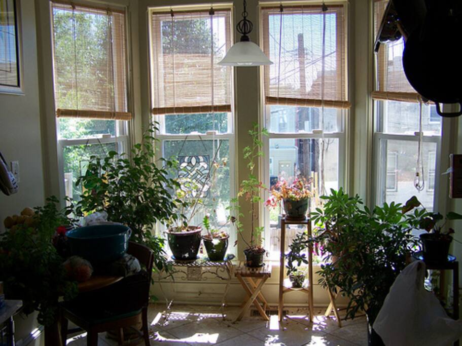 Rent Rooms In Peoples Houses When Traveling Rent Rooms In Peoples Houses When Traveling