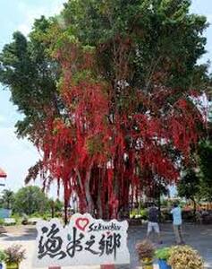 适耕庄熏衣草民宿 - Sekinchan - Appartement