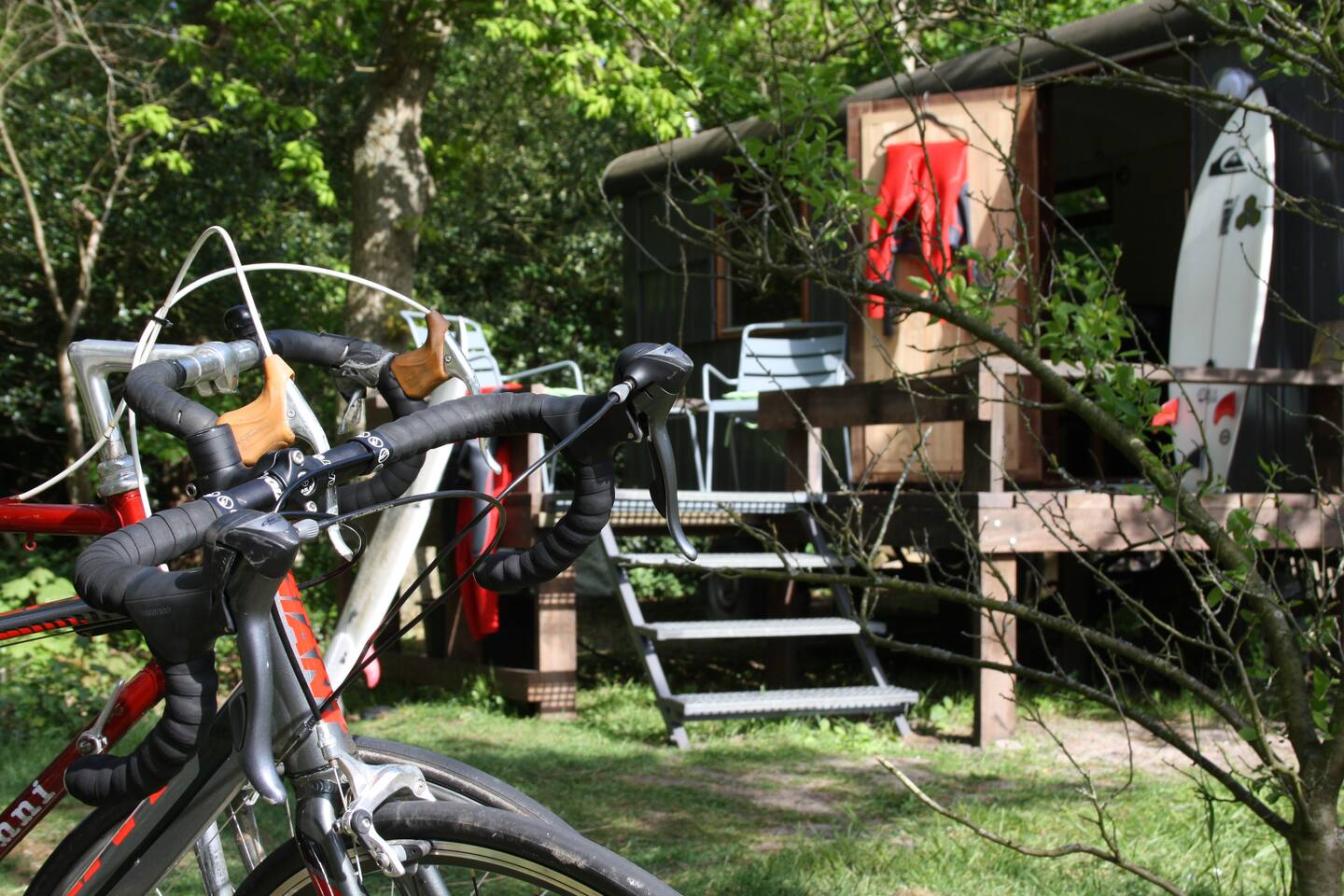 La sud woonwagen aan de bosrand in de koog