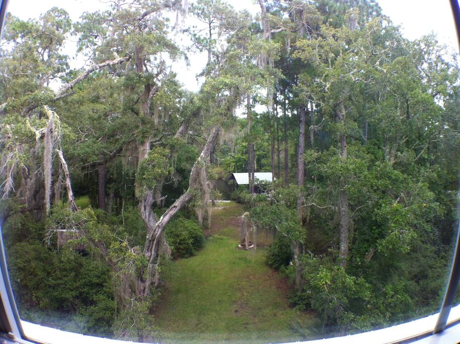 Private rooms, full bath on river Houses for Rent in Sopchoppy