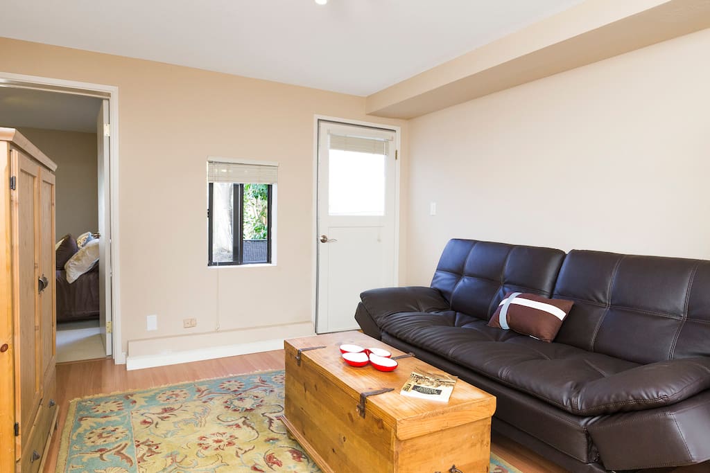 Sofa folds down to a full size bed.