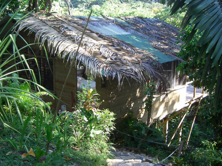 Nestled in lush rain forest