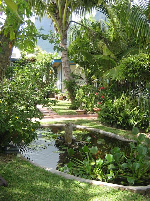 entrée du bungalow dans le jardin exotique