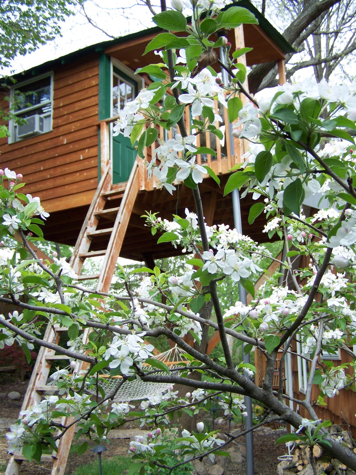 Magical Tree House, Airbnb Rent a Tree Hut for a Night Located in Chicago, Illinois