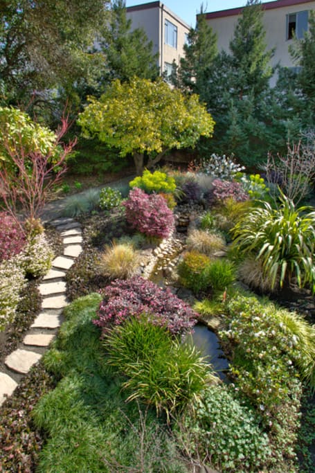 Urban Oasis with functional babbling brook and great deck above