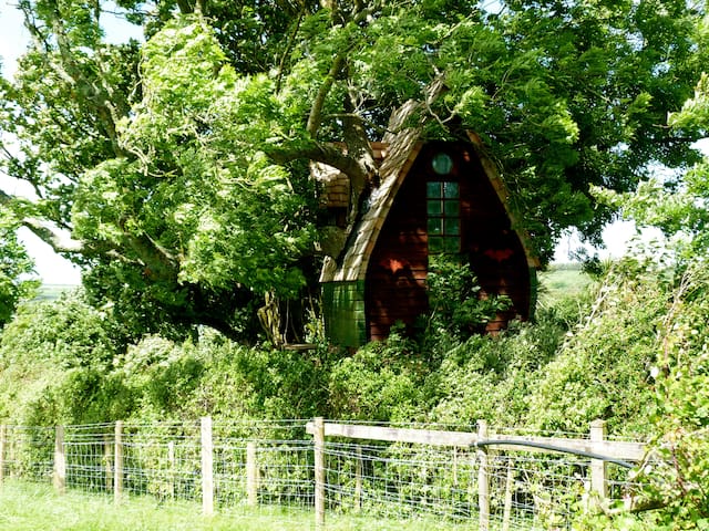 Tree Sparrow House, Cornwall. - Casa sull'albero