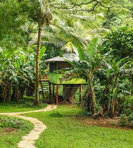 Treehouse just up from the beach - Kilauea - Casa sull'albero