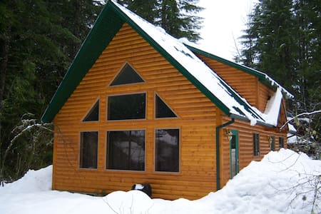 Mt Hood Cabin has Hot Tub & Fireplace - Rhododendron