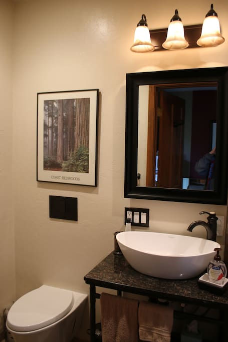 The bath has been newly remodeled. It has a dual flush toilet, a basin sink on a granite countertop, and heated floors.