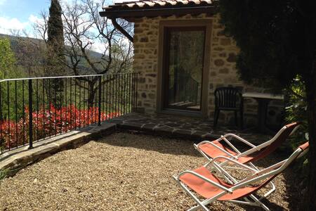 agriturismo santa rosa subbiano apartment
