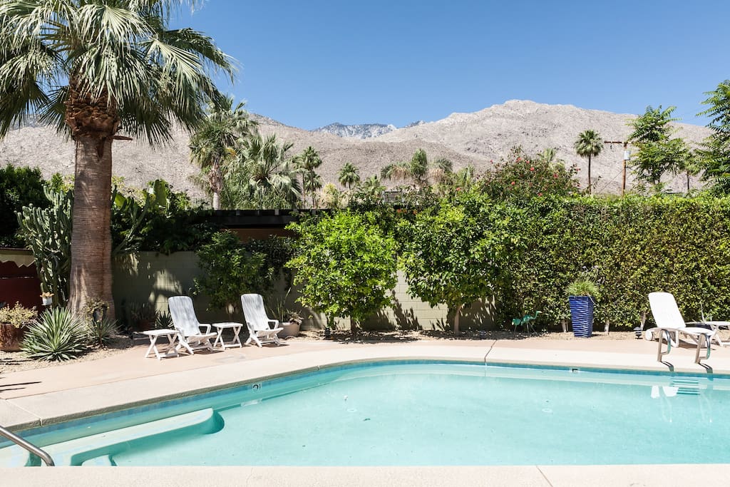 Palm Springs Studio Apartments