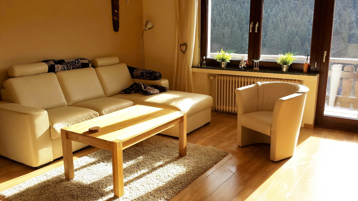 Single Wohnung Schmallenberg Single Wohnung Schmallenberg