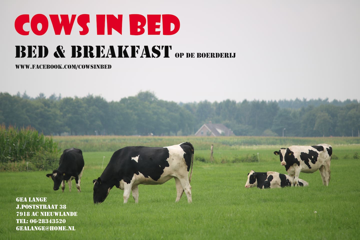 Top 20 bed en breakfasts slagharen: herbergen en b&bs airbnb ...