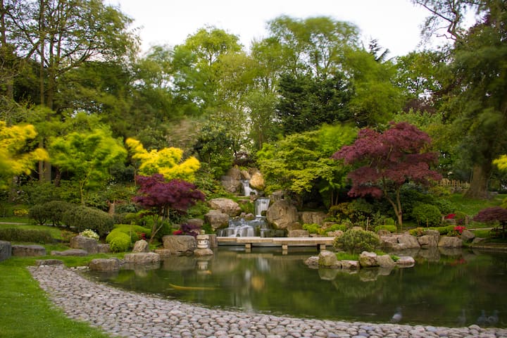 Photo of Central London Flat