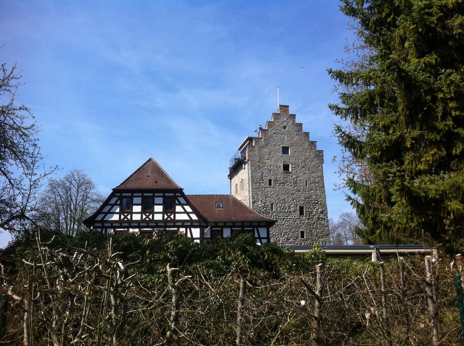 bodenseeminiapartment für singles Apartments zur Miete in bodenseeminiapartment für singles Apartments zur Miete in
