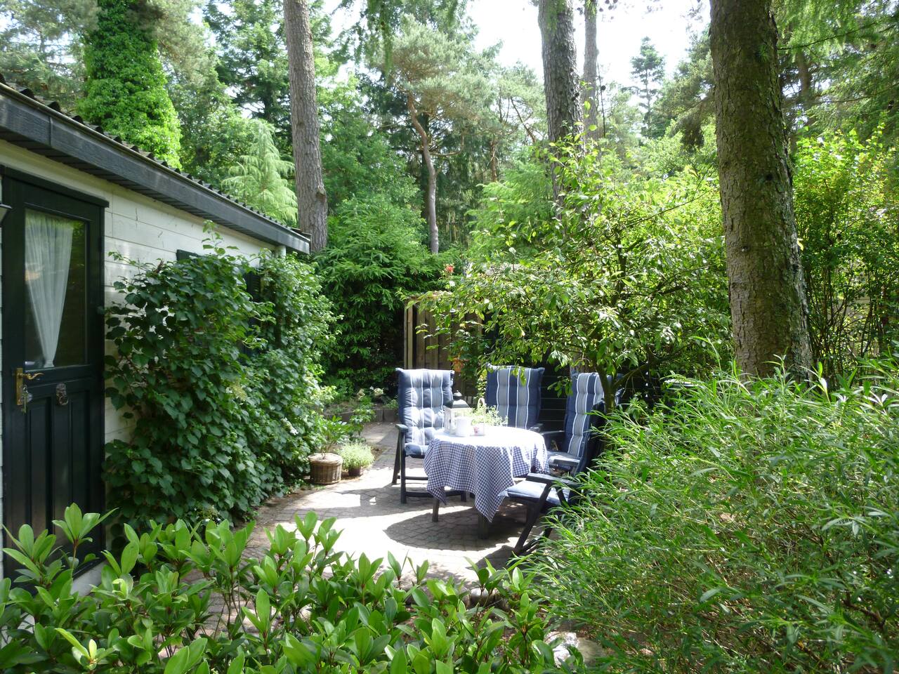Heerlijk vakantiehuis diever, aan de bosrand! huizen te huur in ...
