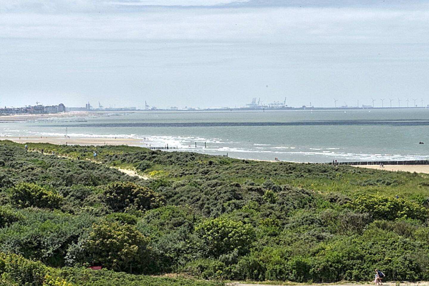 Droomplek op het duin appartementen te huur in cadzand Kcheninsel ikea