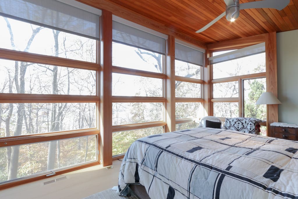 Master Bedroom Windows