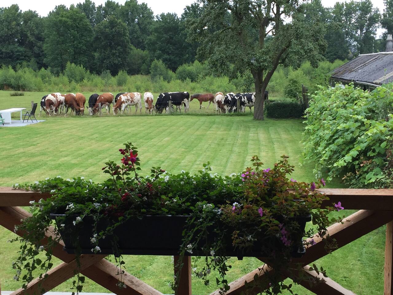 Top 20 vakantiehuizen nijverdal, vakantiewoningen & appartementen ...