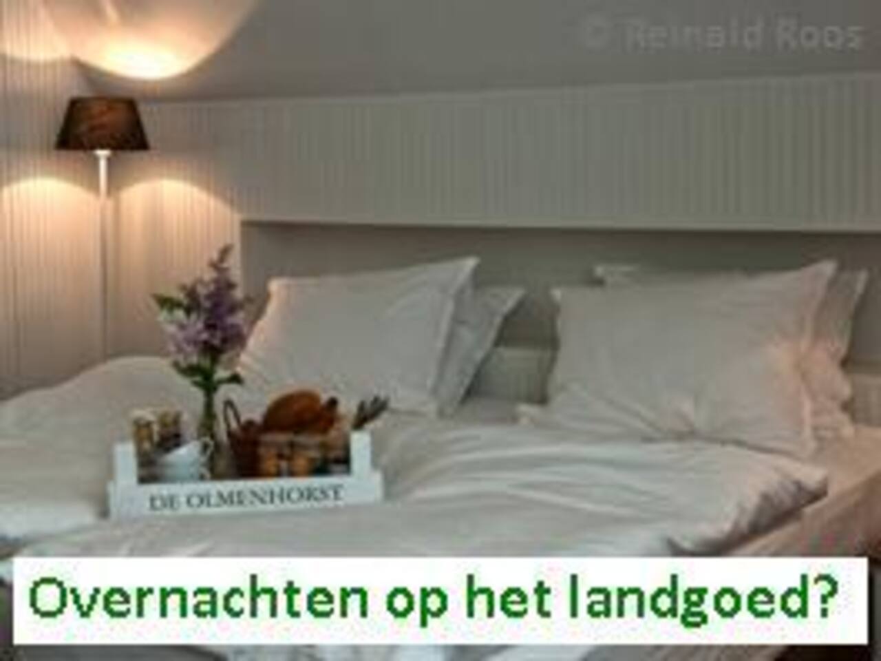 Boomgaard boerderij nabij keukenhof huizen te huur in ...
