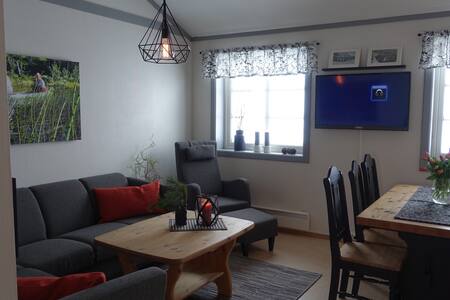 Topp 20 austbygdi leiligheter til leie airbnb