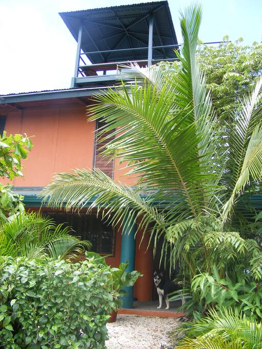 Observation Deck