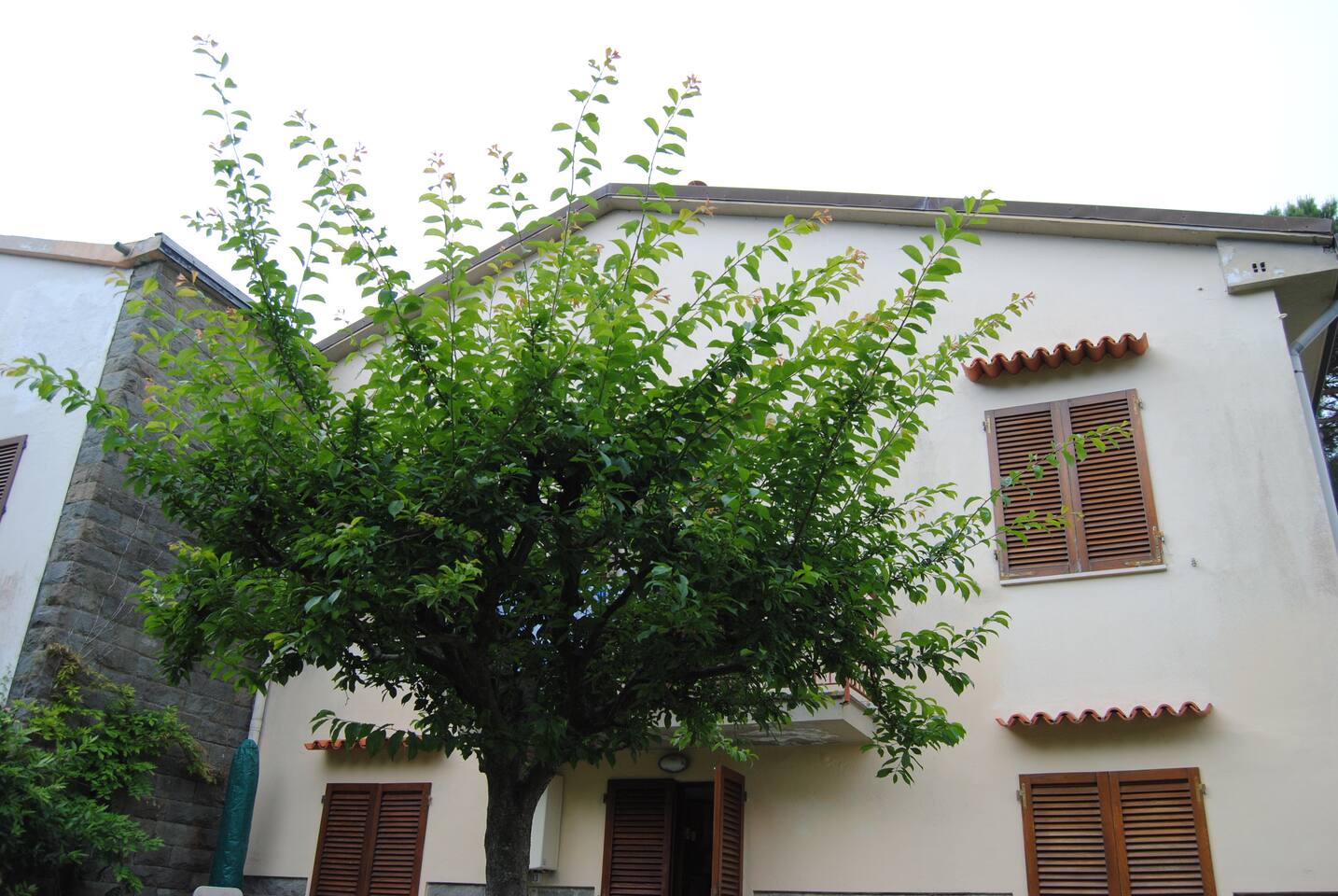 Top 20 affitti per le vacanze, case vacanze e affitti condominiali ...