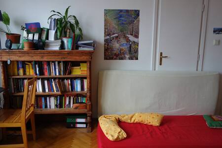 Large Bright Room Near Center - อพาร์ทเมนท์