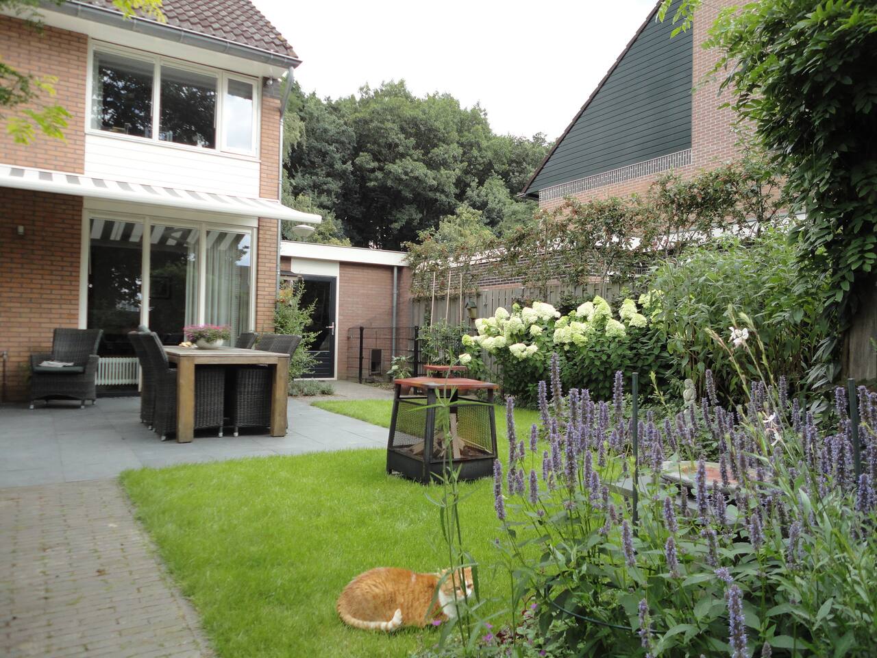 Privé zolder slaap/werk/zitkamer (huis bosrand). huizen te huur ...