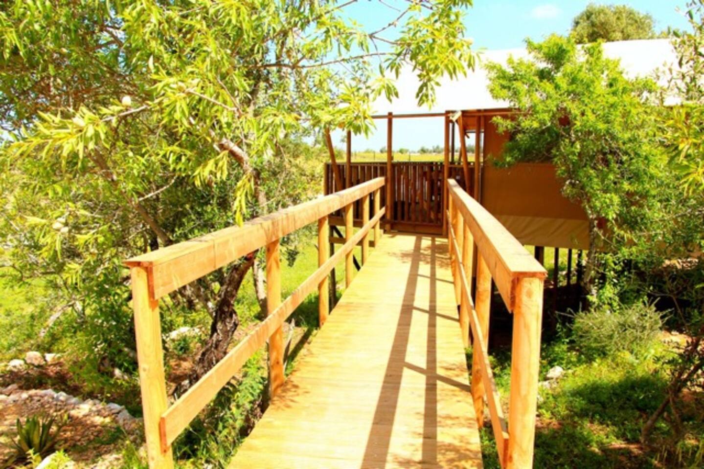 The top 20 tents for rent in lagos airbnb