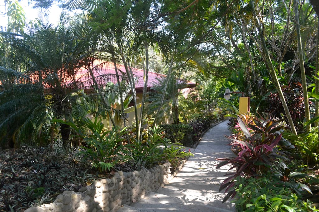 Our rooftop and walkway to pool