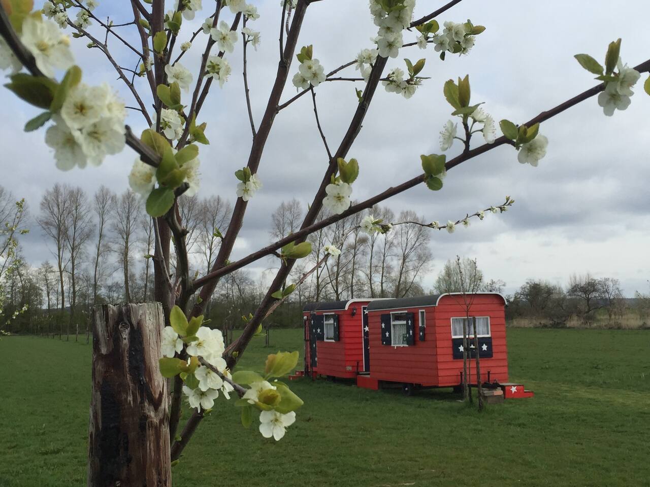 Top 20 bed en breakfasts leersum: herbergen en b&bs airbnb ...