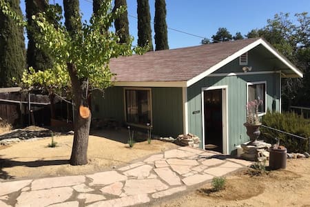 Pet Friendly Bed And Breakfast Paso Robles Ca Pet Friendly Bed And Breakfast Paso Robles Ca