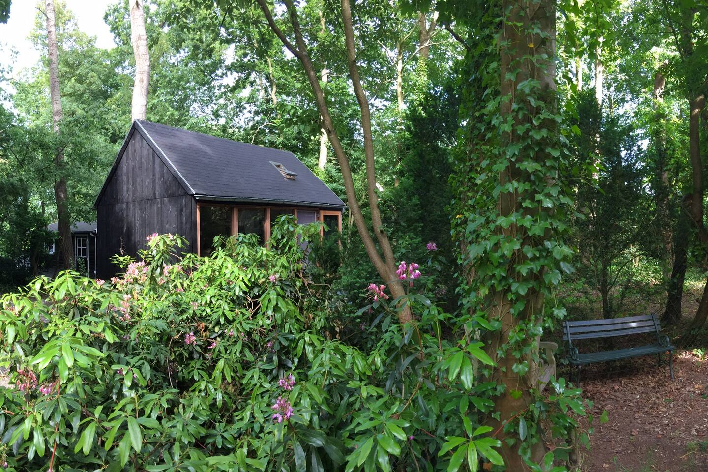 Top 20 vakantiehuizen schoorl, vakantiewoningen & appartementen ...