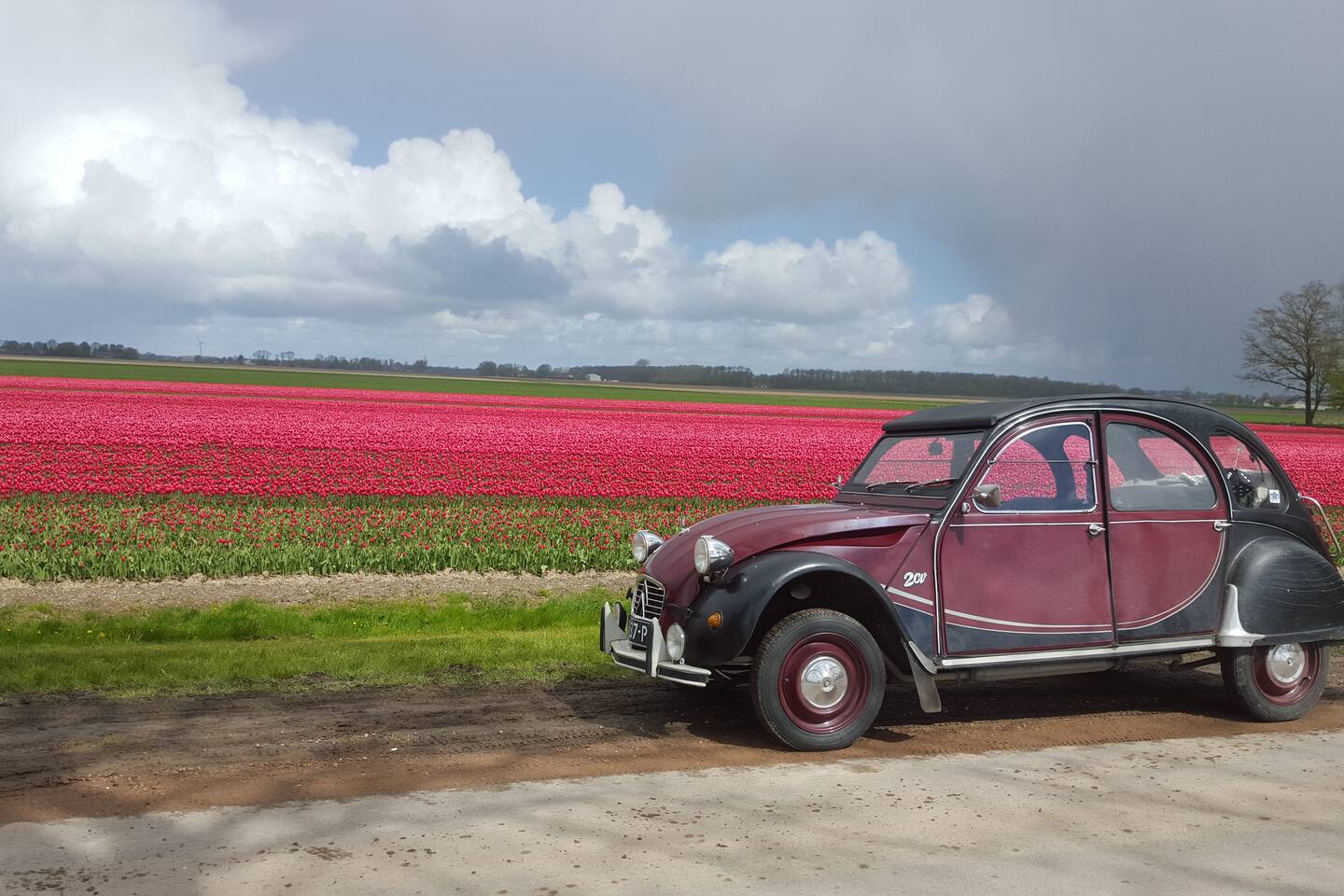 De top 20 bungalows om te huren in amsterdam airbnb: bungalow ...