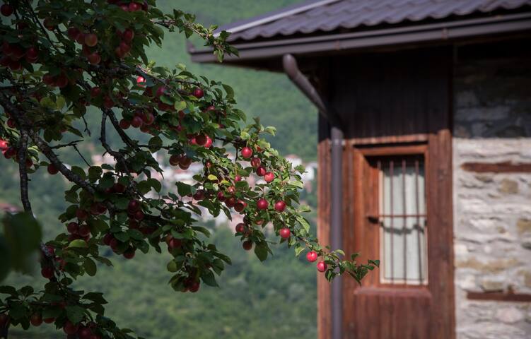Radika View House - Apartment
