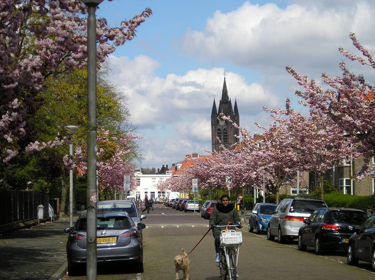 Top 20 vakantiehuizen delft, vakantiewoningen & appartementen ...