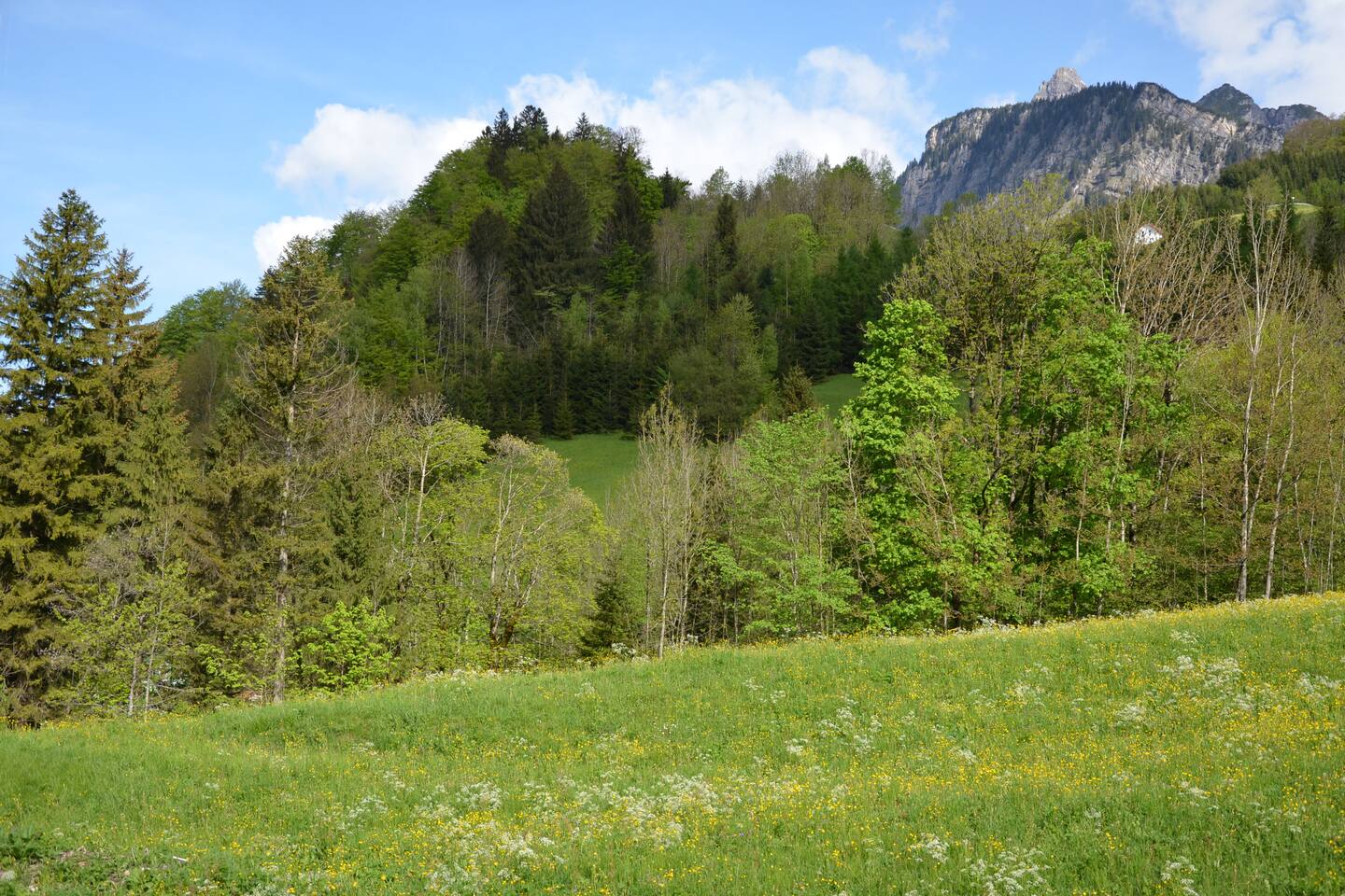 Ferienwohnung freiraum appartementen te huur in dalaas Wunderschne bedden en ruimte