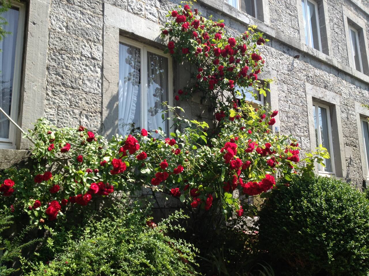 Top 20 durbuy vacation rentals, vacation homes & condo rentals ...