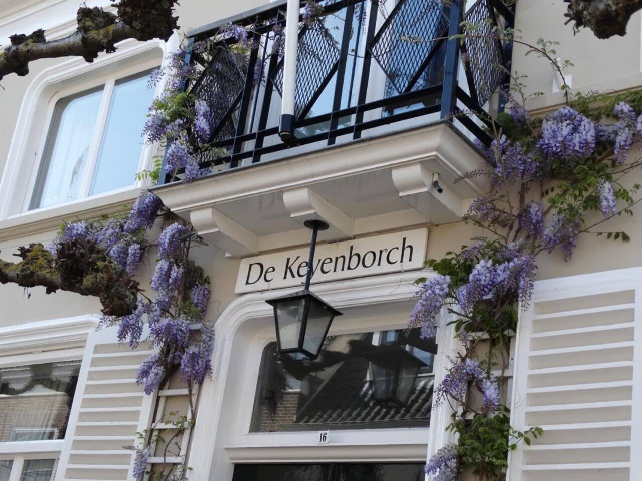 Top 20 vakantiehuizen domburg, vakantiewoningen & appartementen ...